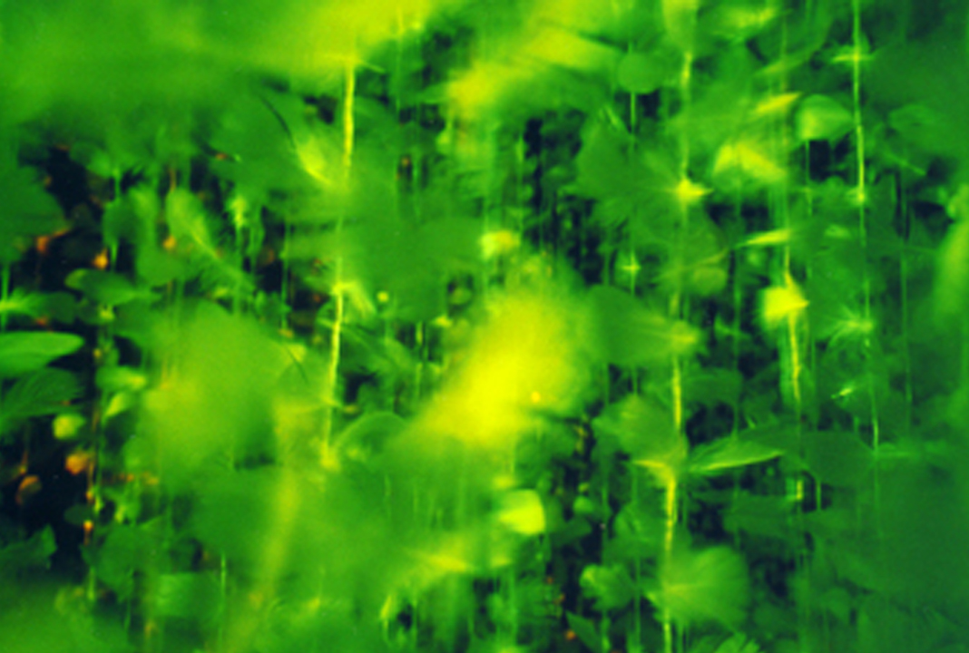 Videoinstallation aspekt b – Projektion und Raumgestaltung, Ansicht 4
